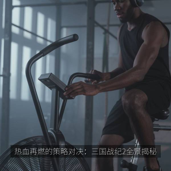 热血再燃的策略对决：三国战纪2全景揭秘 海报